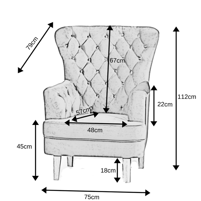 Eliana Wing Back Grey Velvet Armchair