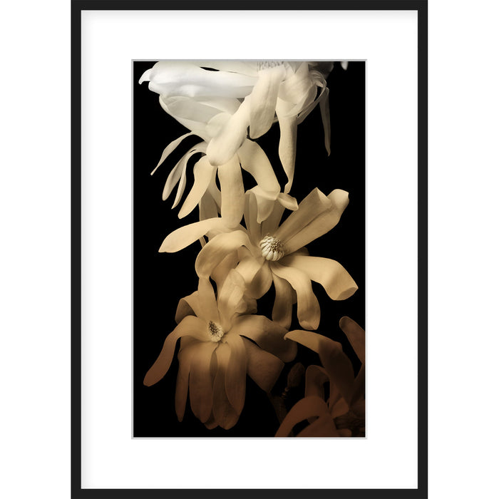 Transcendence Print