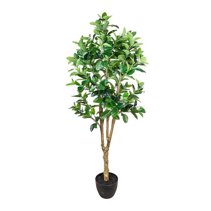 Lemon Tree Real Touch 1.5m