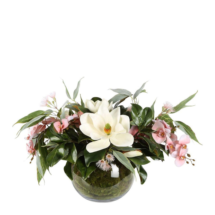 Ali Pink Orchid Arrangement