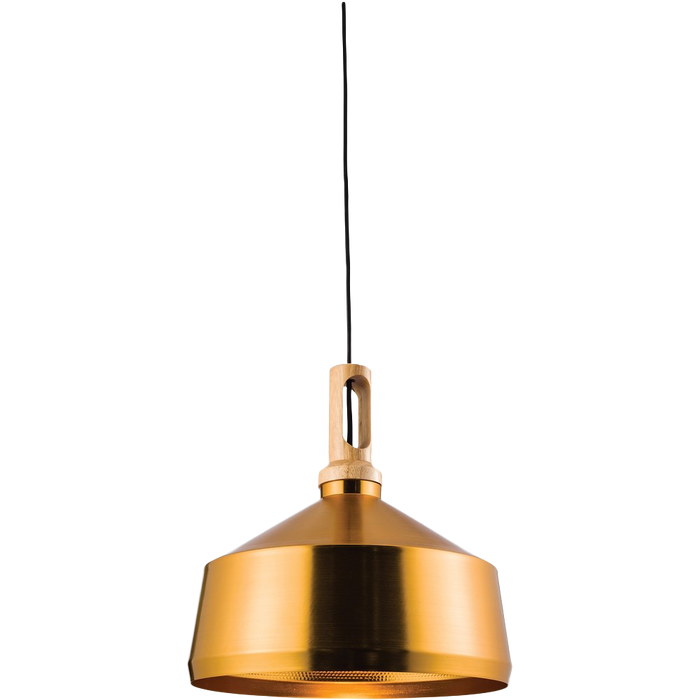 Biorn Angled Pendant Light - Gold