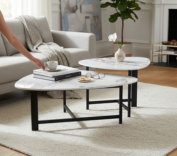 2 Piece Nola Nesting Coffee Table Set