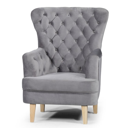 Eliana Wing Back Grey Velvet Armchair