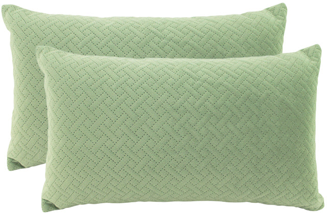 Brick Sage Velvet Cushion