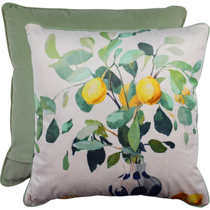 Zestful Display Velvet Cushion