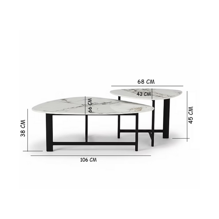 2 Piece Nola Nesting Coffee Table Set