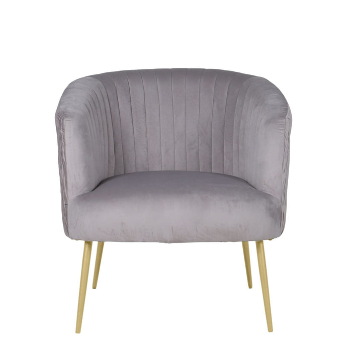 Perla Dolphin Grey Velvet Accent Armchair
