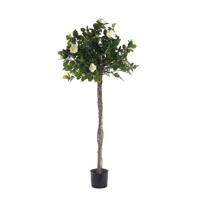 Rose Topiary Light White 1.4m