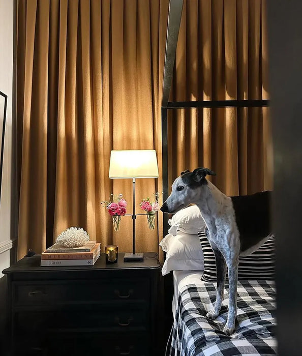 Boho Boutique 4 Poster Bed Queen
