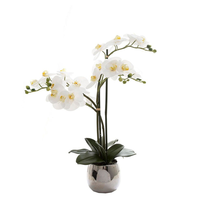 Phalaenopsis Real Touch in Silver Pot