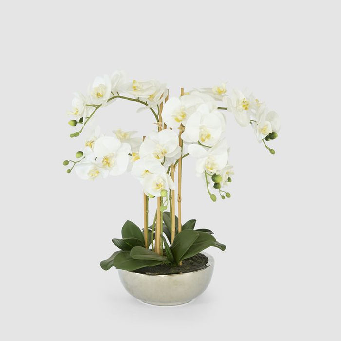 Phalaenopsis Real Touch in Silver Pot