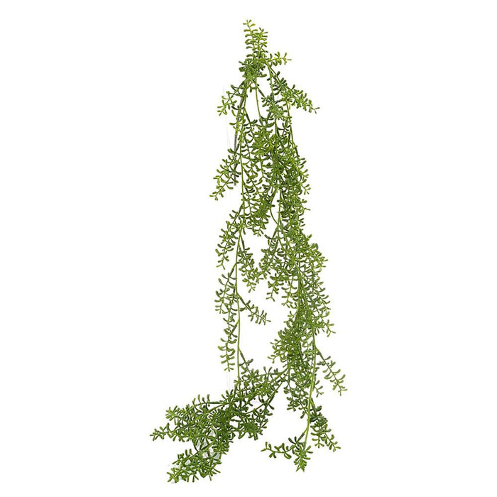 Baby Fern Hanging Bush 1.2m