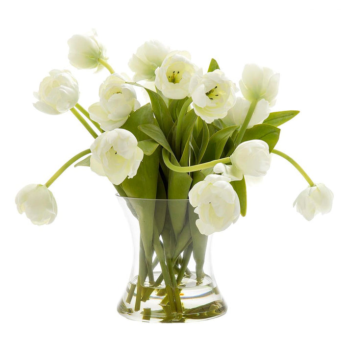 Tulip in Water in Glass Vase