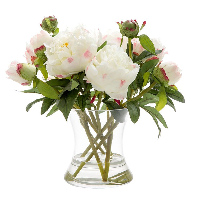 Peony in Water in Glass Vase