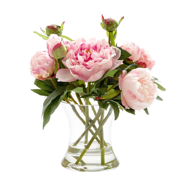 Peony in Water in Glass Vase