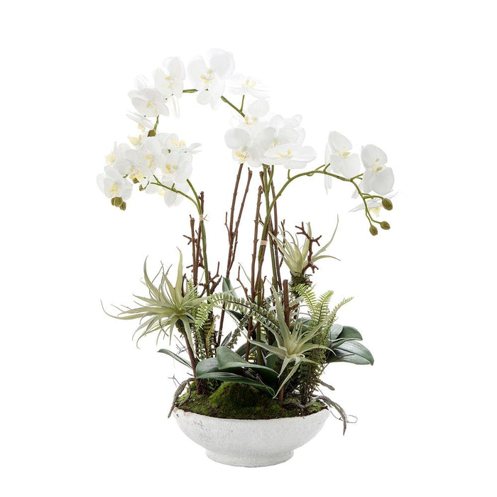 Orchid with Ferns 60cm White