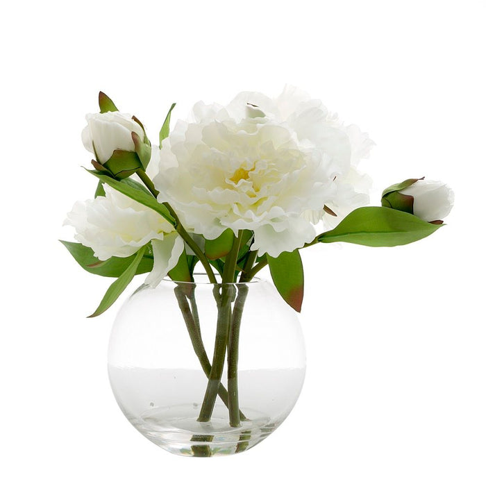 Peony in Water Bowl