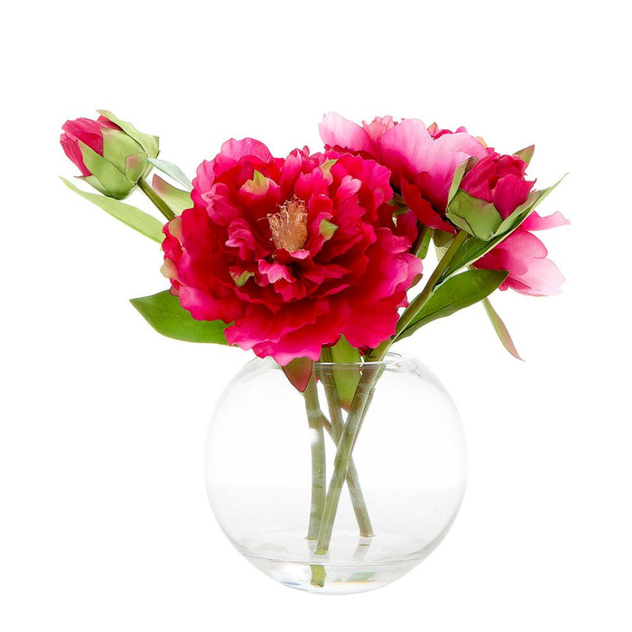 Peony in Water Bowl