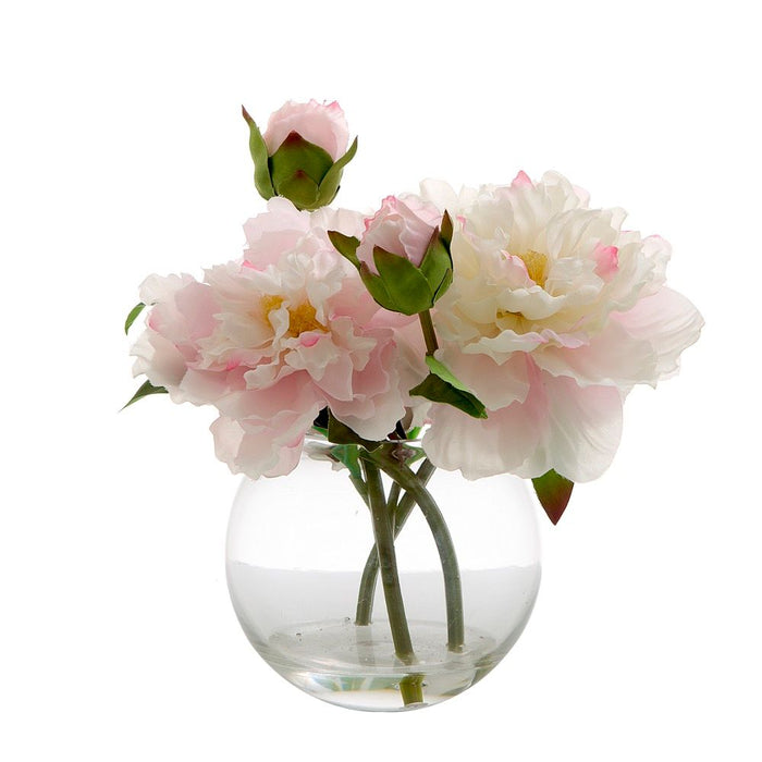 Peony in Water Bowl