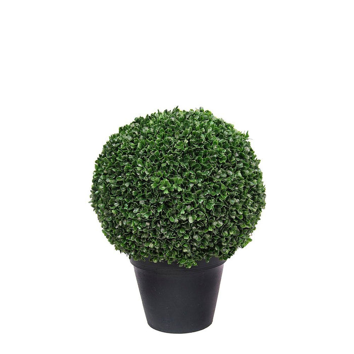 Boxwood Ball Potted 42cm