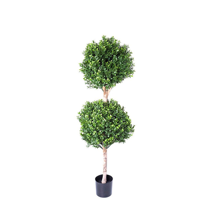 Boxwood Double Ball Tree