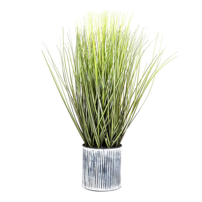 PRE-ORDER Grass in Pot 64cm