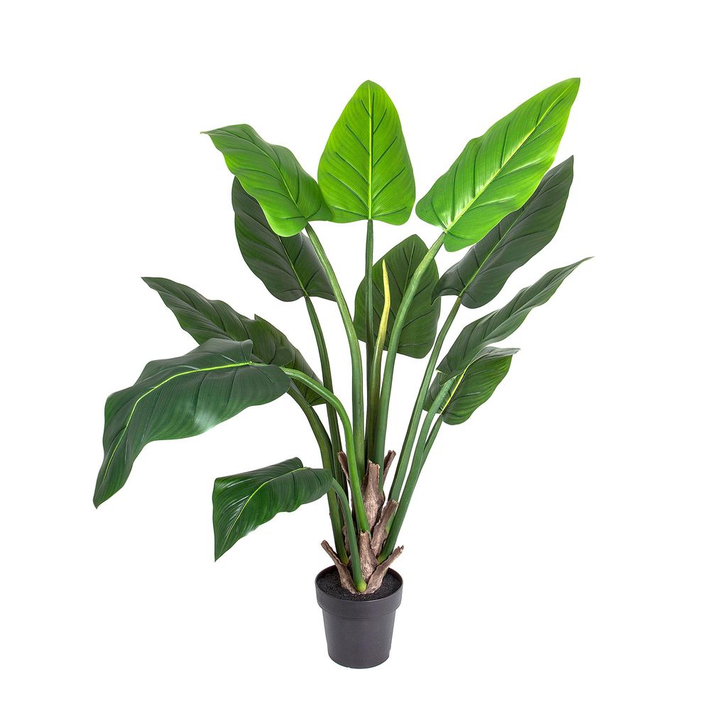 Philo Tree Real Touch — Lj Bedding and Furnitures