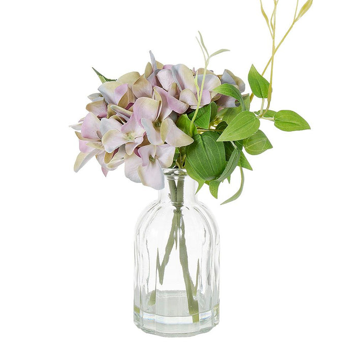 Hydrangea in Glass Vase