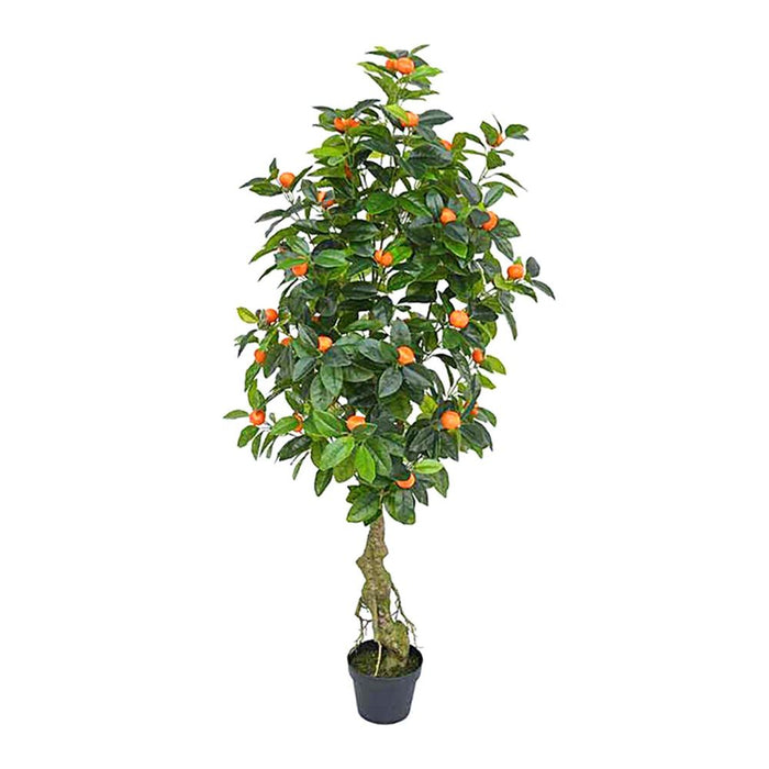 Orange Tree Real Touch 1.5m