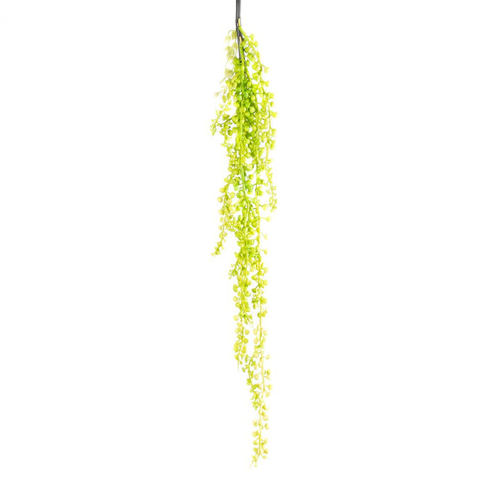 Pearl Vine 68cm