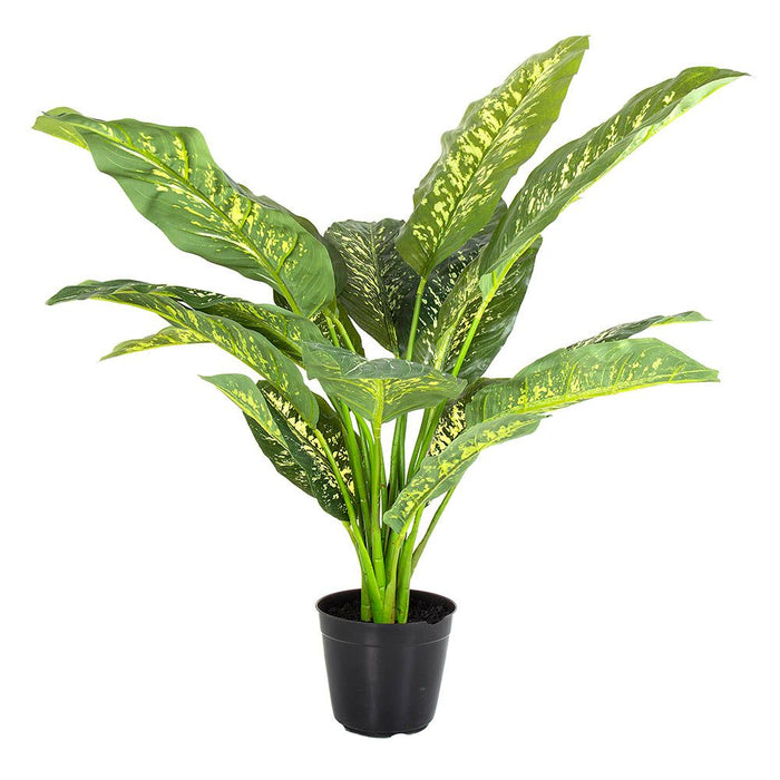 Cane Plant Real Touch in Pot