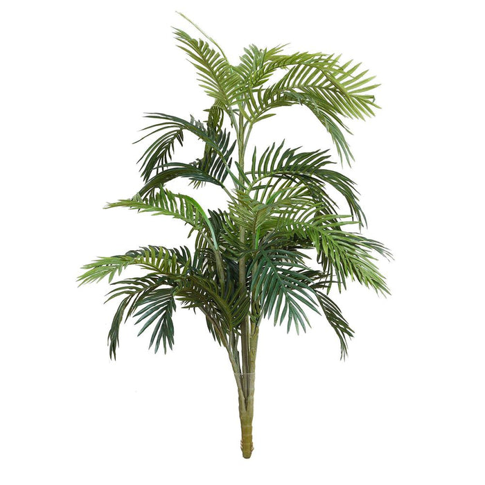 Areca Palm Potted