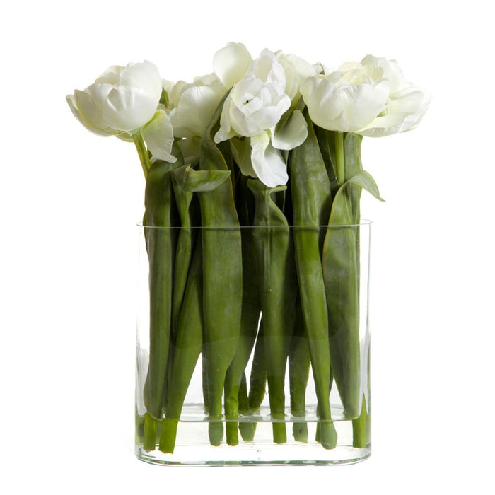 Tulip in Water in Vase