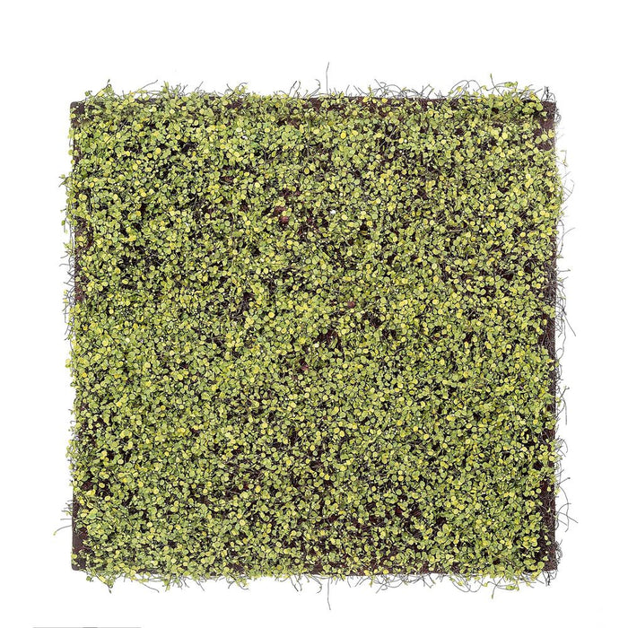 Mat Botanical Ground Cover 50x50cm