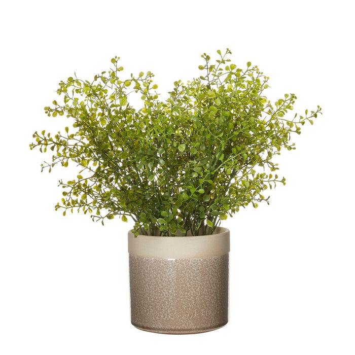 Rice Seed Greenery in Ceramic Pot 36cm