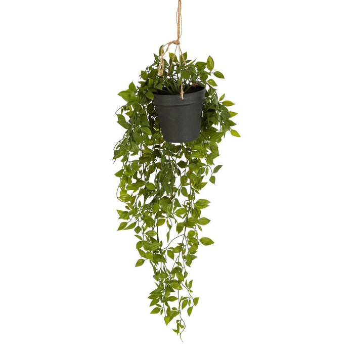 Hanging Leaves with Black Pot