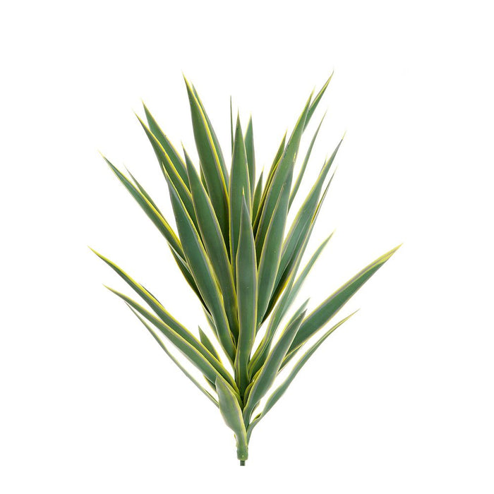 PRE-ORDER Yucca Head Green 78cm