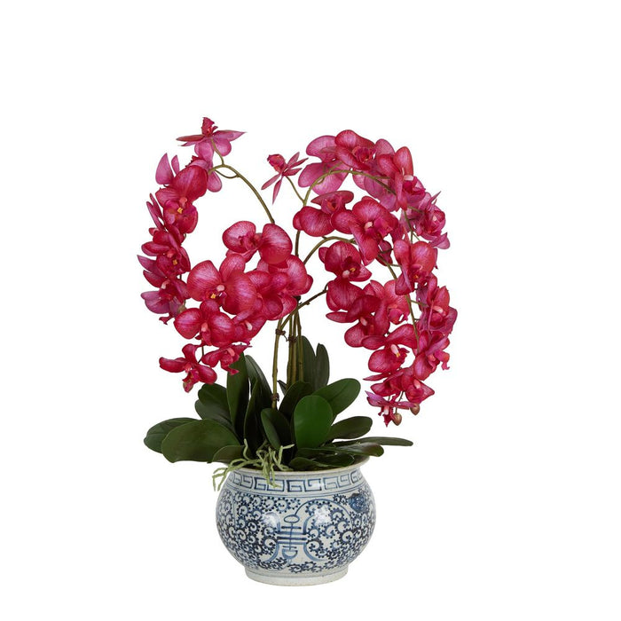 Mahiya Orchid Arrangement