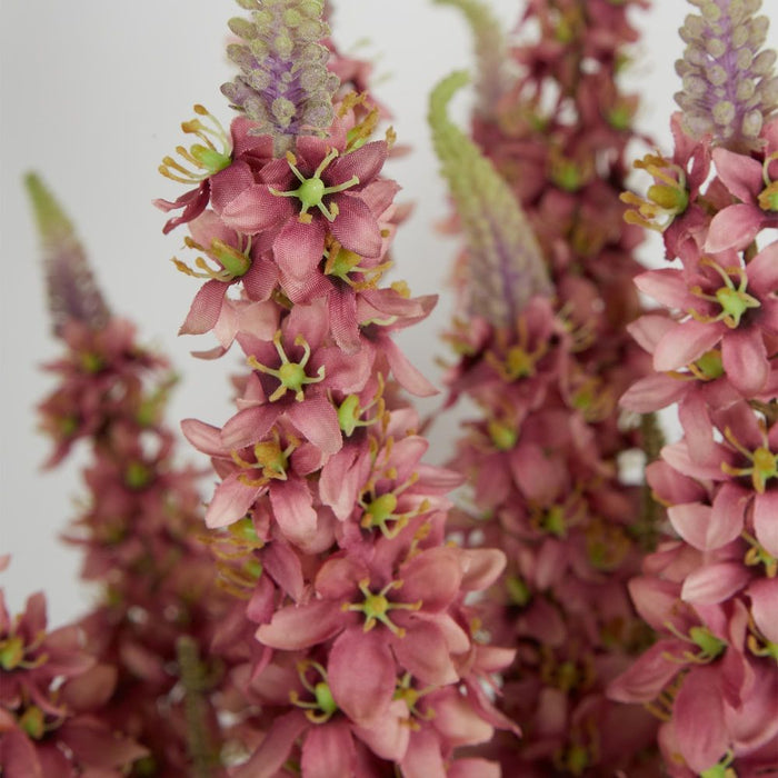 Veronica Arrangement in Cement Pot Pink