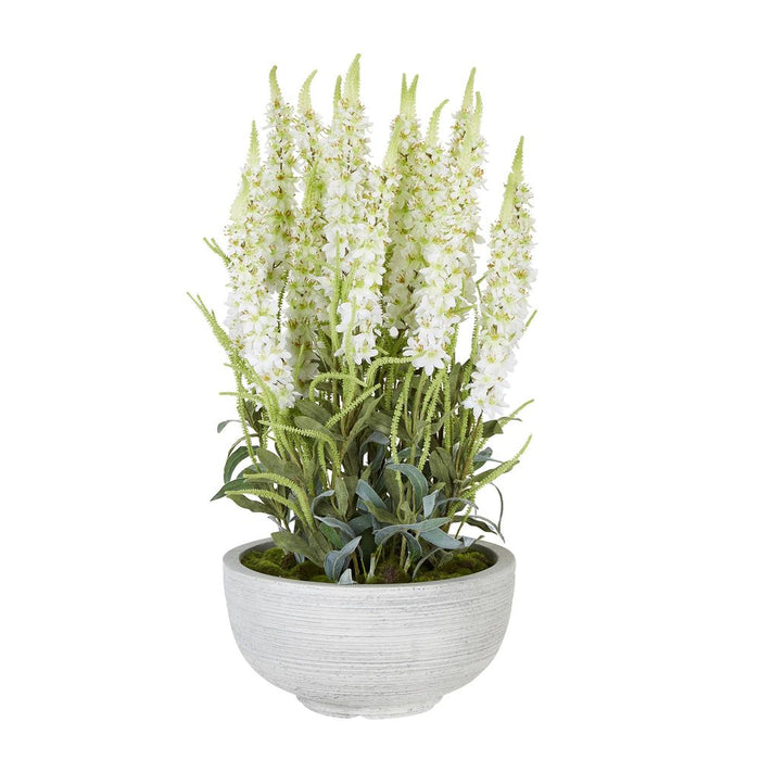 Veronica Arrangement in Cement Pot White