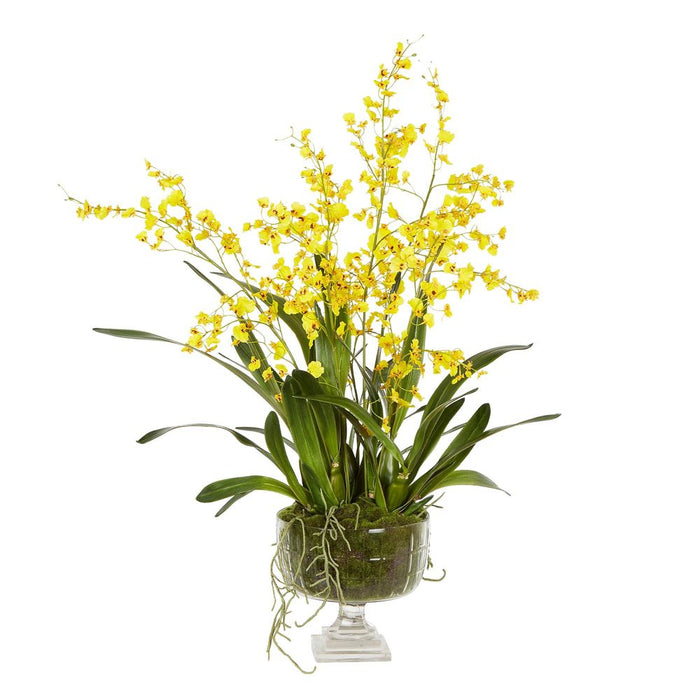 Dancing Orchid Arrangement in Glass Urn Yellow