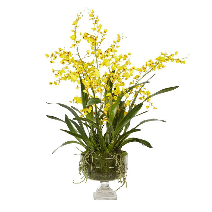 Dancing Orchid Arrangement in Glass Urn Yellow