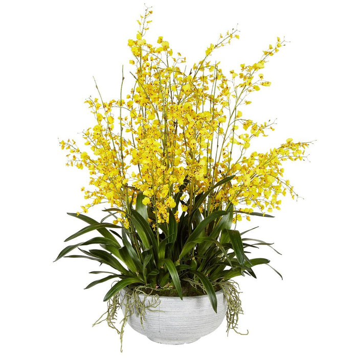 Dancing Orchid Arrangement Large Yellow