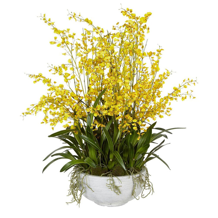 Dancing Orchid Arrangement Large Yellow