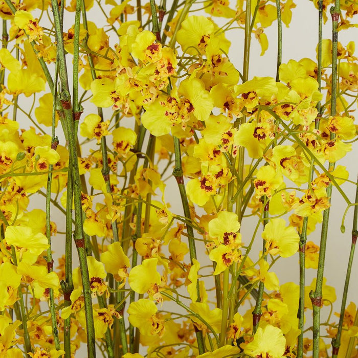 Dancing Orchid Arrangement Large Yellow