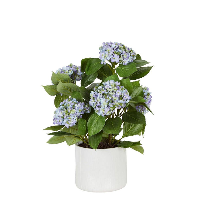 Ezma Arrangement Blue