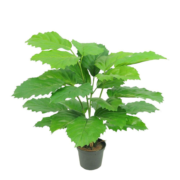 Mini Chestnut Leaf Potted Plant