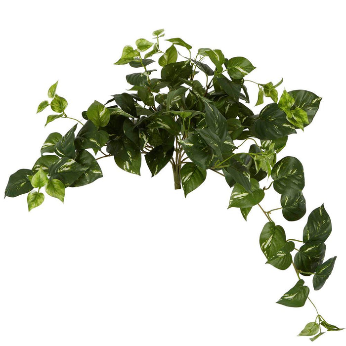 Pothos Leaf Hanging Vine