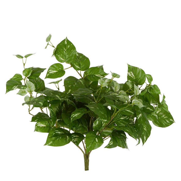 Pothos Leaf Hanging Vine