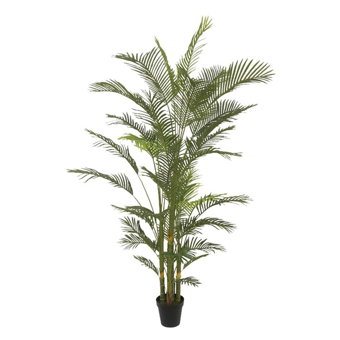 Real Touch Palm Tree In Black Pot